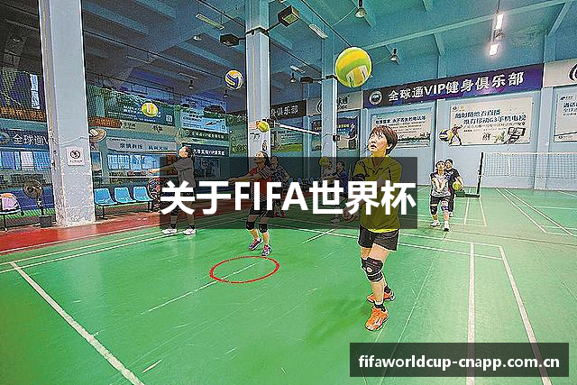 关于FIFA世界杯